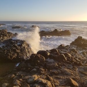 Meet your Posher, Neil